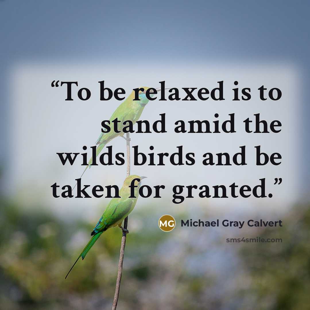 “To be relaxed is to stand amid the wilds birds and be taken for granted.” quote by Michael Gray Calvert