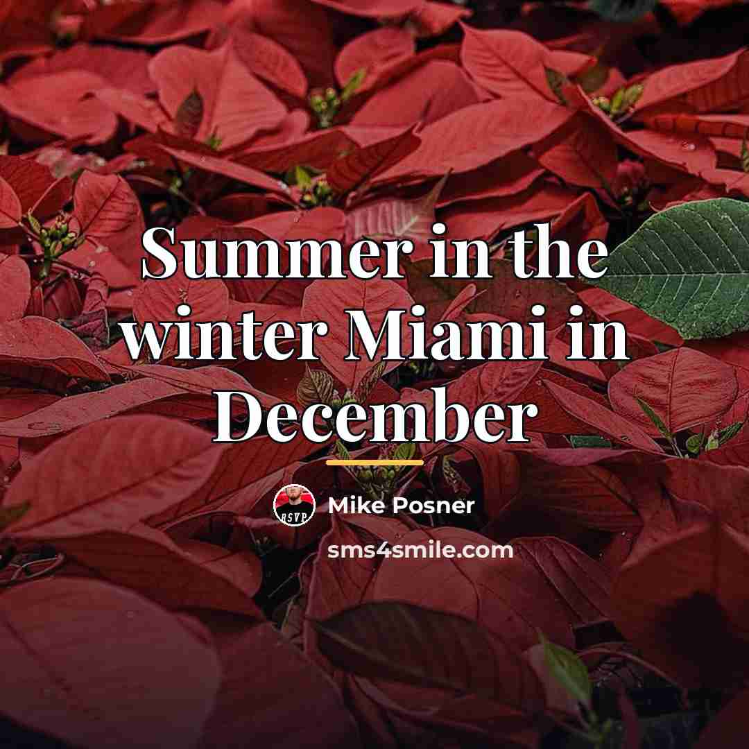 “Summer in the winter Miami in December…” quote by Mike Posner