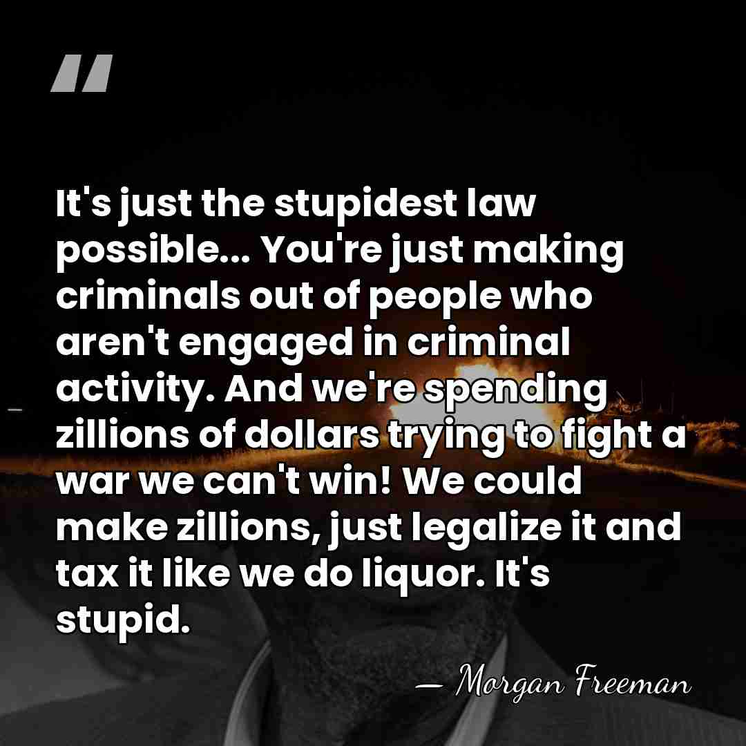 It's just the stupidest law possible... You're just making criminals out of&hellip; - Morgan Freeman