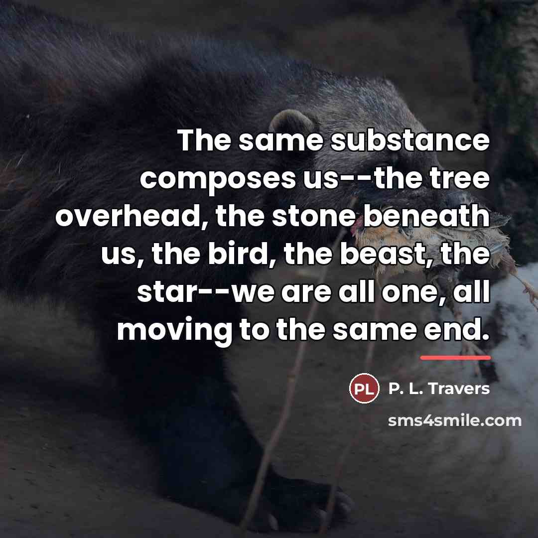 “The same substance composes us--the tree overhead, the stone beneath…” quote by P. L. Travers