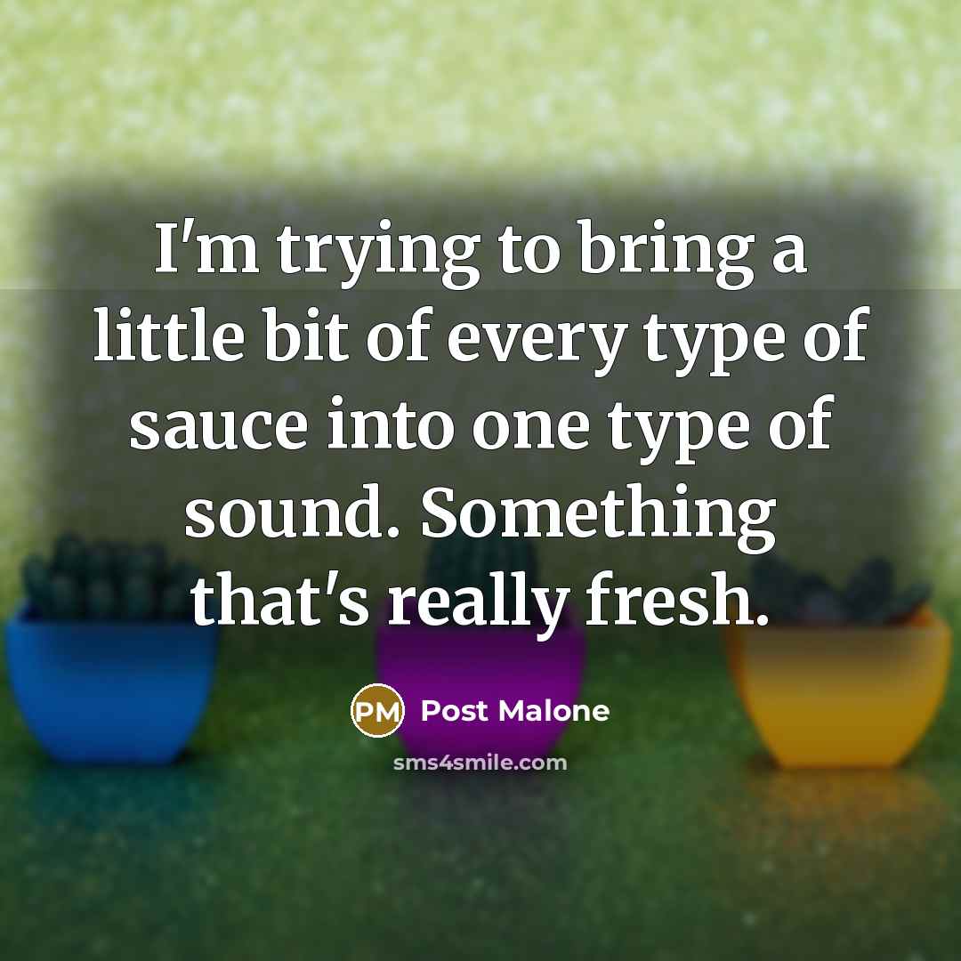 “I'm trying to bring a little bit of every type…” quote by Post Malone