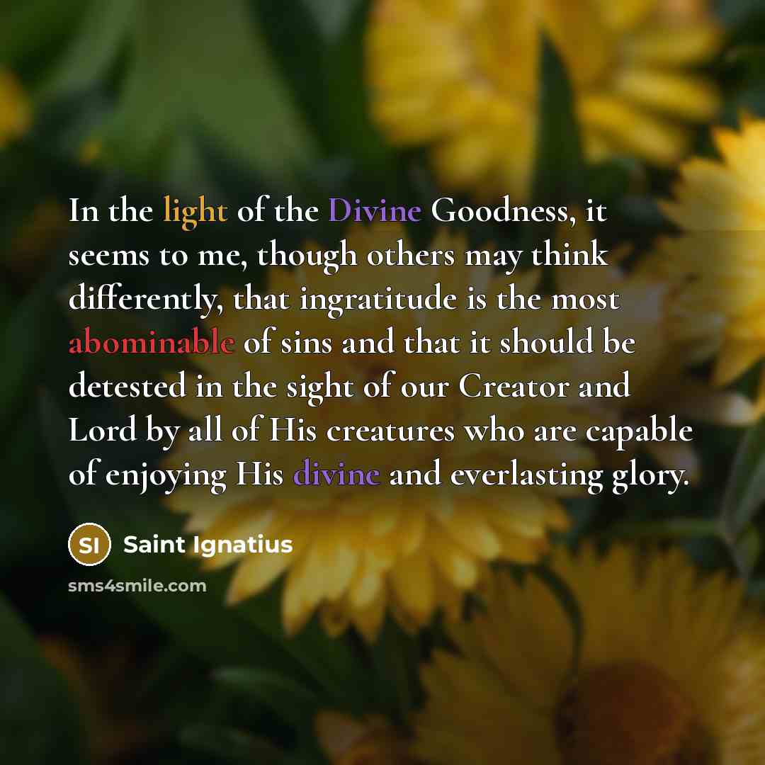 “In the light of the Divine Goodness, it seems to…” quote by Saint Ignatius