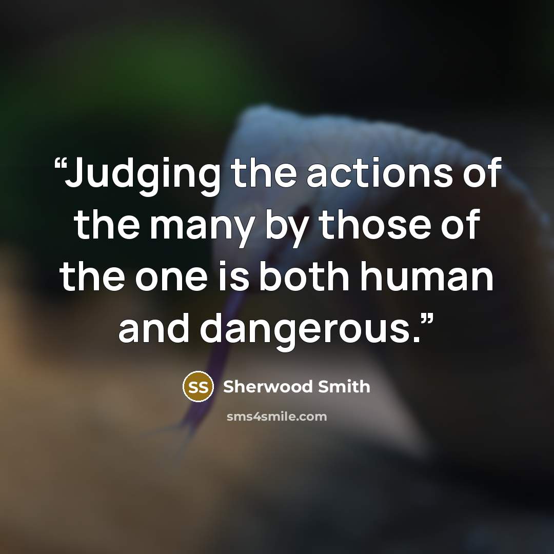 “Judging the actions of the many by those of the one is both human and dangerous.” quote by Sherwood Smith