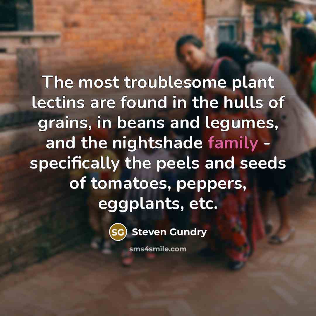 “The most troublesome plant lectins are found in the hulls…” quote by Steven Gundry