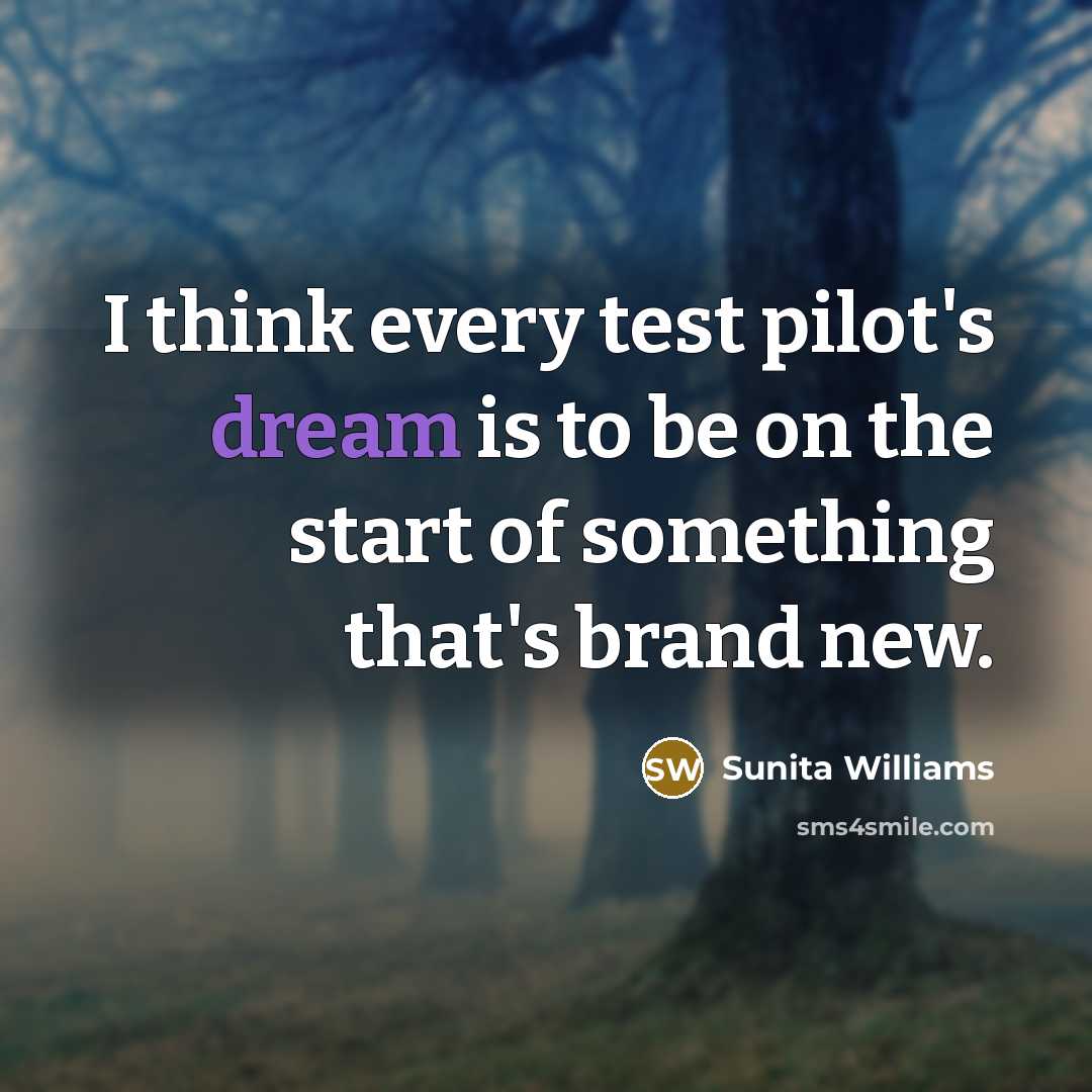 “I think every test pilot's dream is to be on the start of something that's brand new.” quote by Sunita Williams