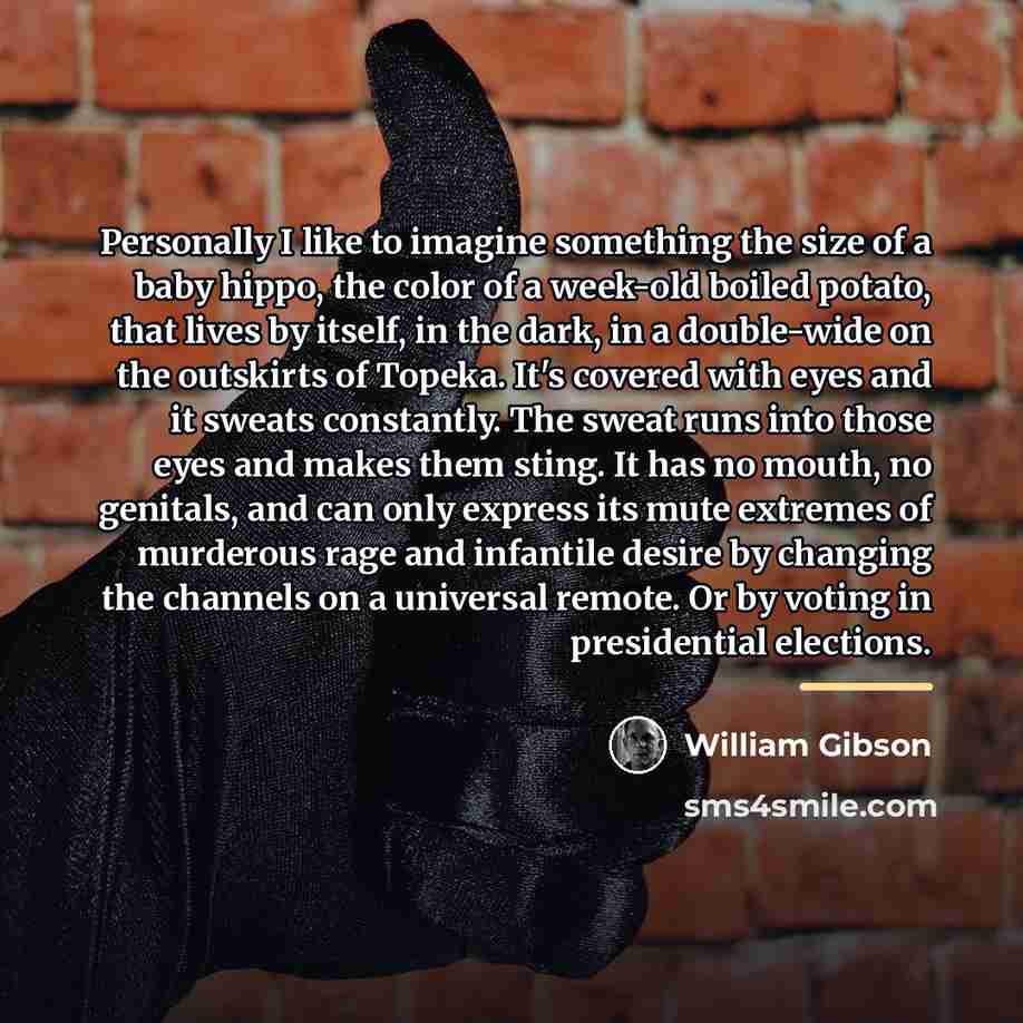 “Personally I like to imagine something the size of a…” quote by William Gibson