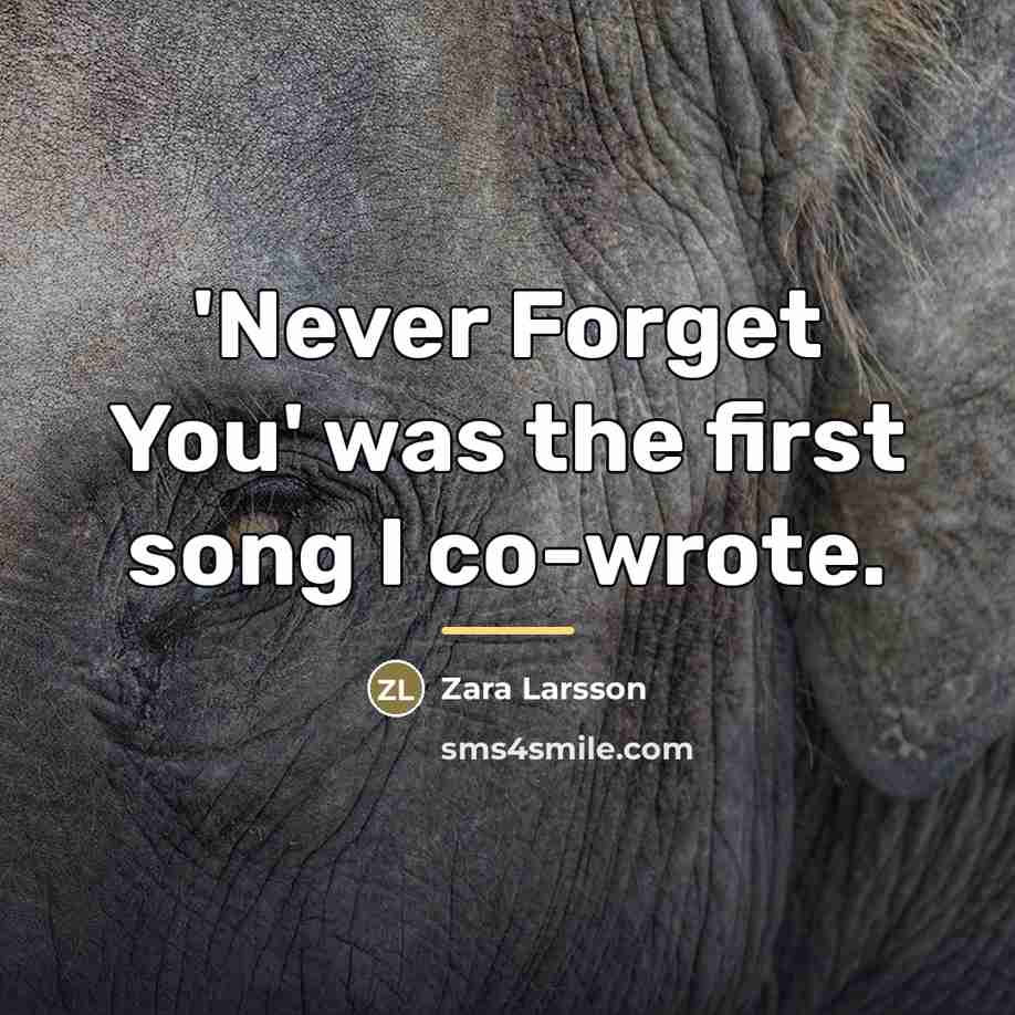 “'Never Forget You' was the first song I co-wrote.…” quote by Zara Larsson