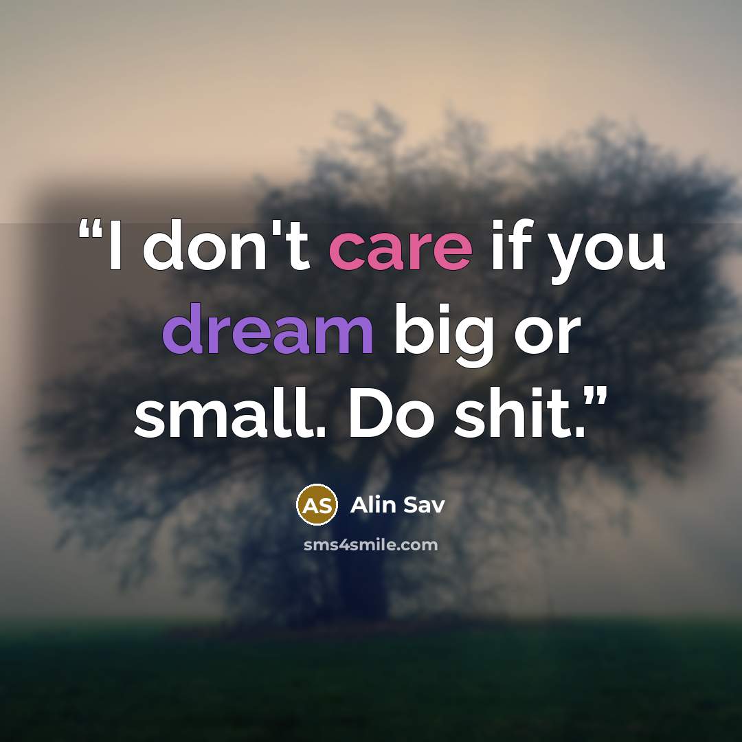 “I don't care if you dream big or small. Do shit.” quote by Alin Sav