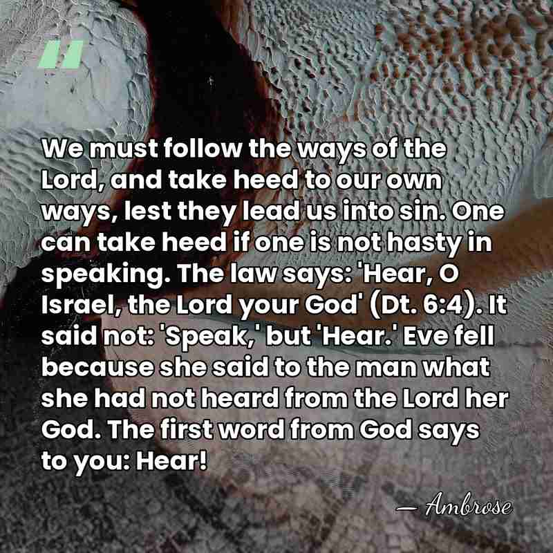 We must follow the ways of the Lord, and take heed to&hellip; - Ambrose