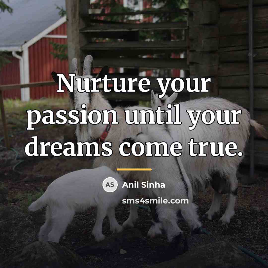 “Nurture your passion until your dreams come true.…” quote by Anil Sinha