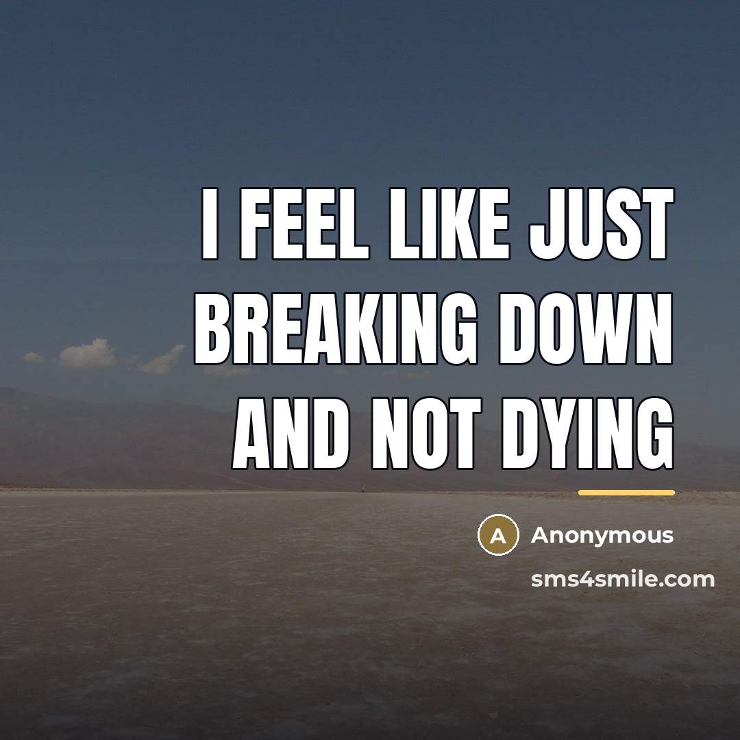 “I feel like just breaking down and not dying…” quote by Anonymous