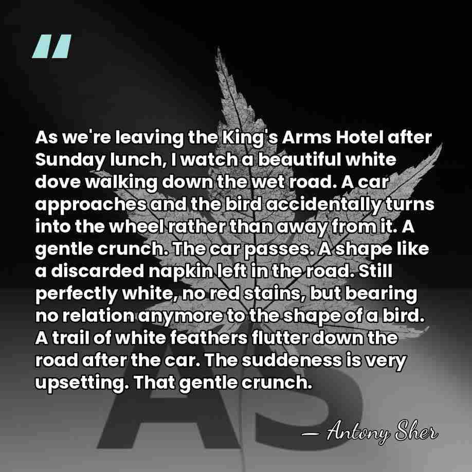 As we're leaving the King's Arms Hotel after Sunday lunch, I watch&hellip; - Antony Sher
