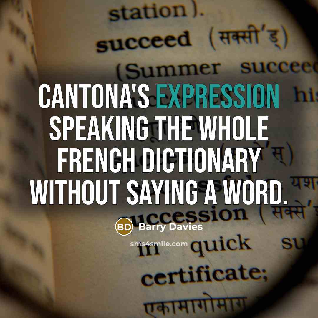 “Cantona's expression speaking the whole French dictionary without saying a…” quote by Barry Davies