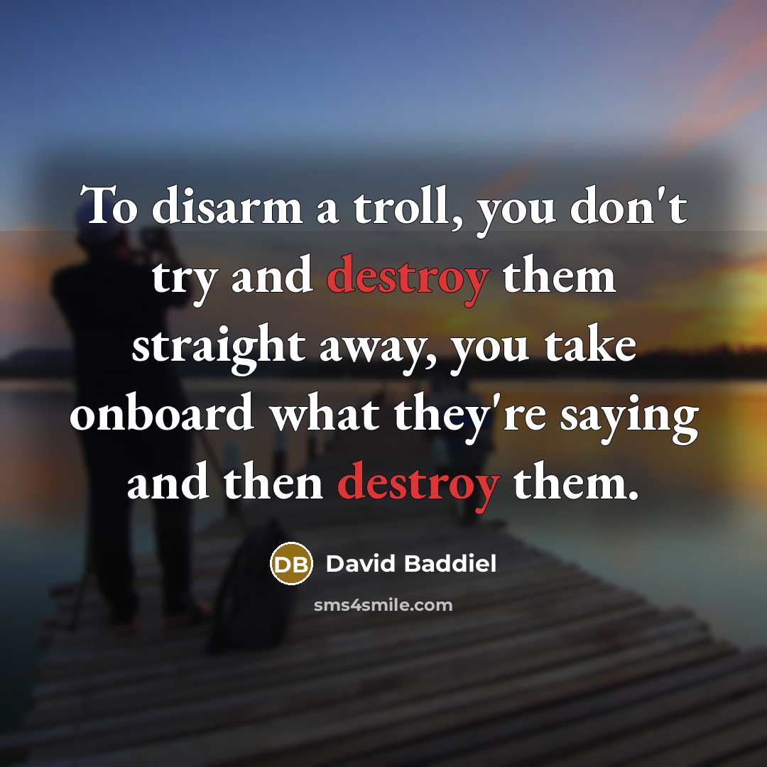 “To disarm a troll, you don't try and destroy them…” quote by David Baddiel