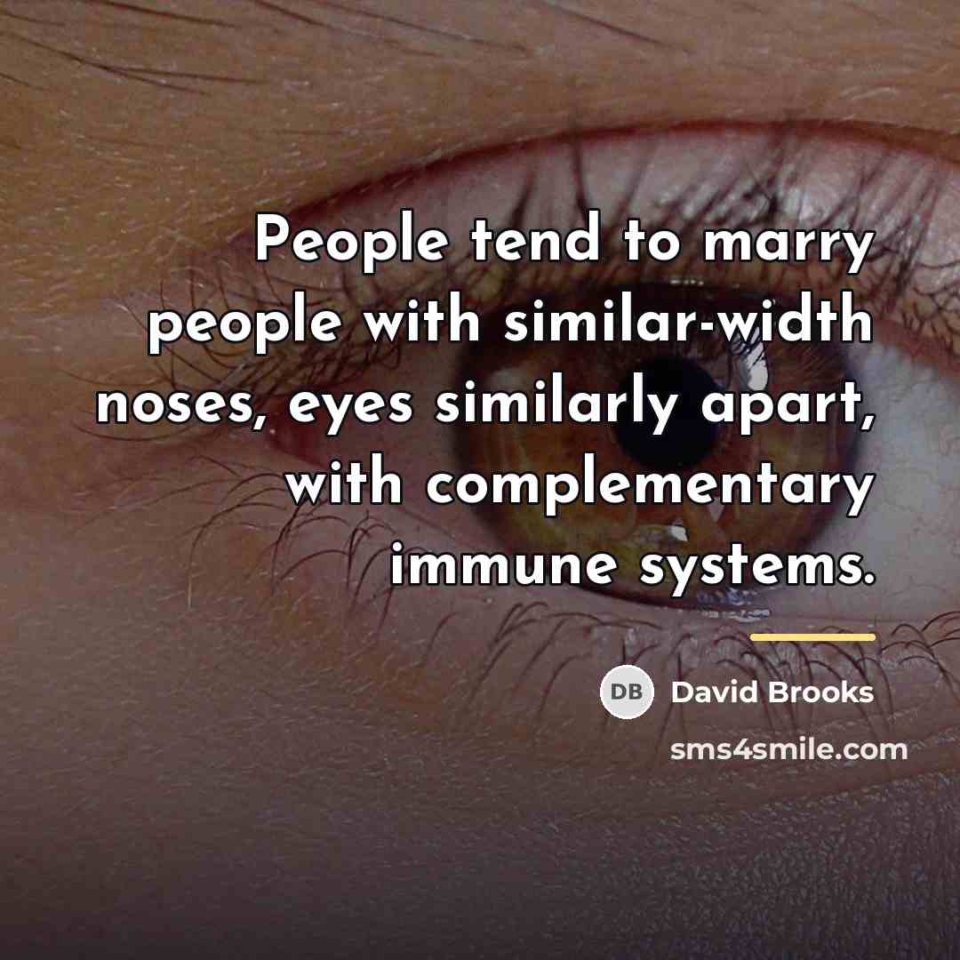 “People tend to marry people with similar-width noses, eyes similarly…” quote by David Brooks