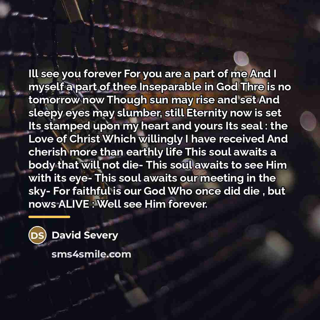 “Ill see you forever For you are a part of…” quote by David Severy