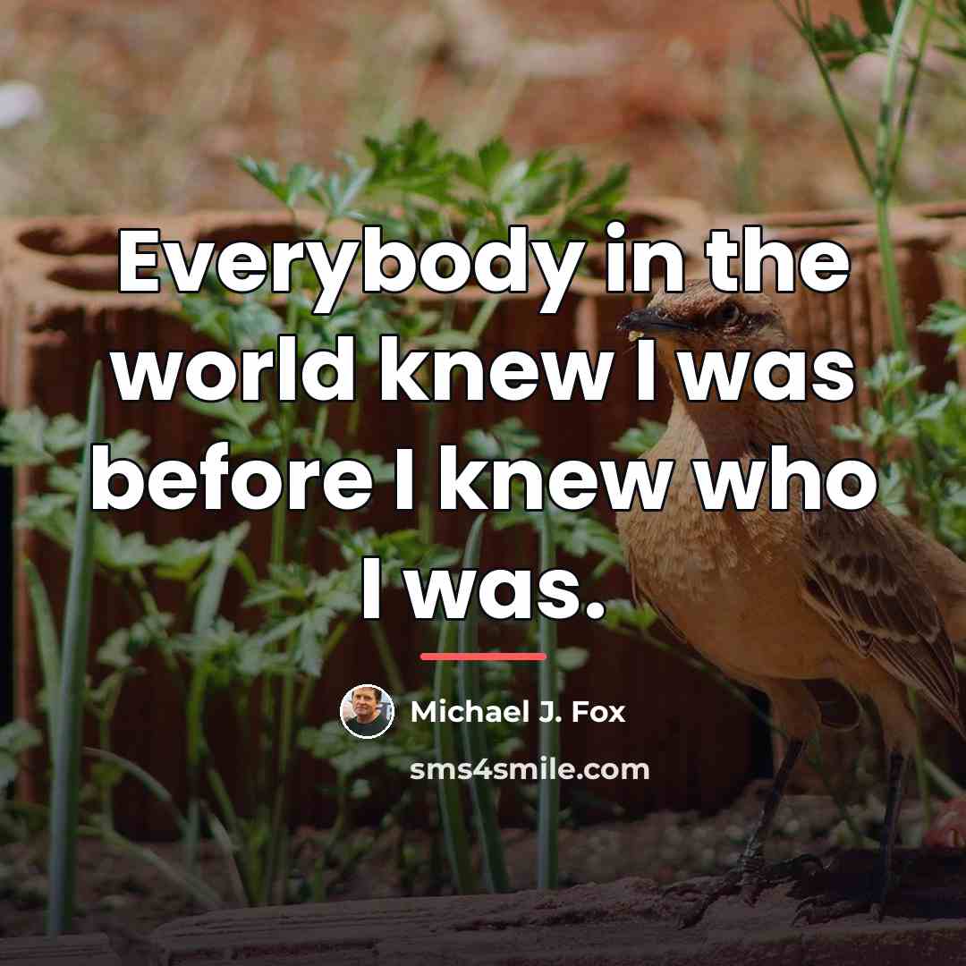 “Everybody in the world knew I was before I knew…” quote by Michael J. Fox