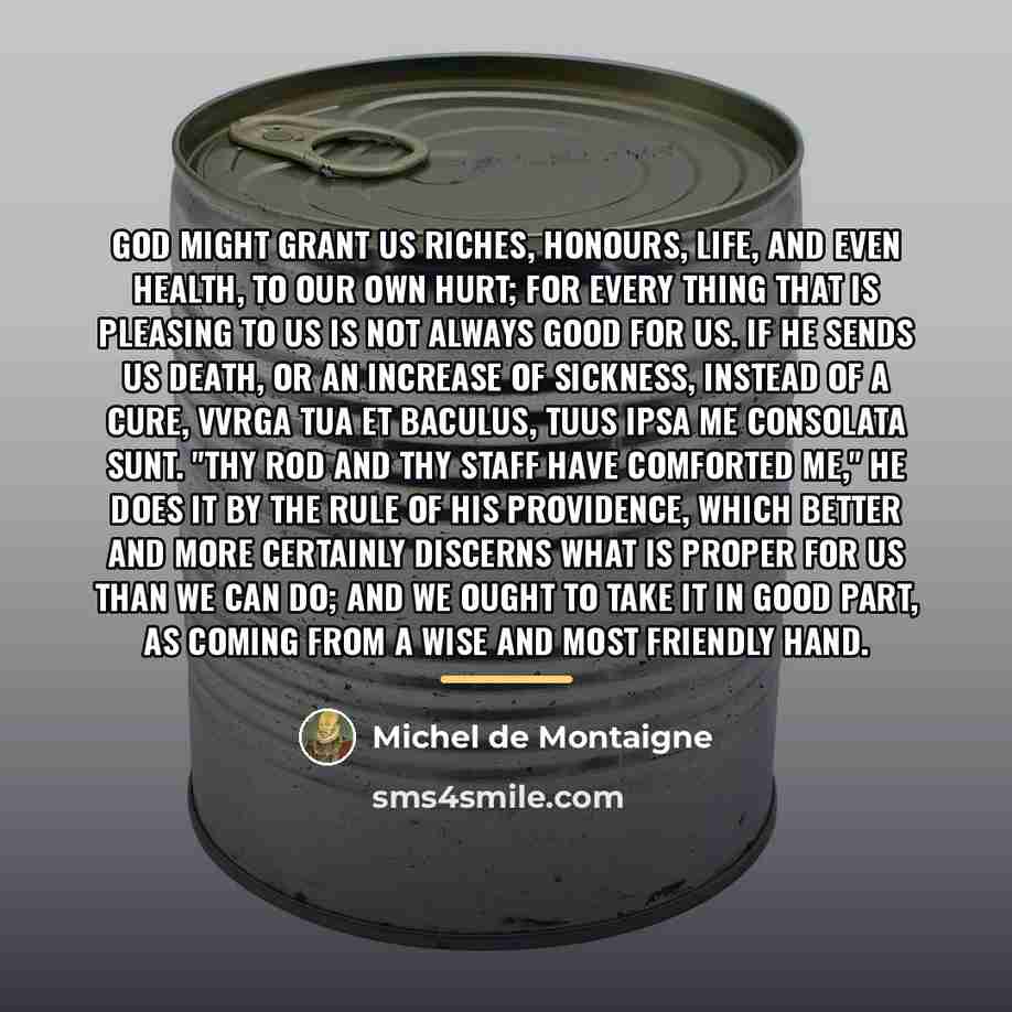 “God might grant us riches, honours, life, and even health,…” quote by Michel de Montaigne