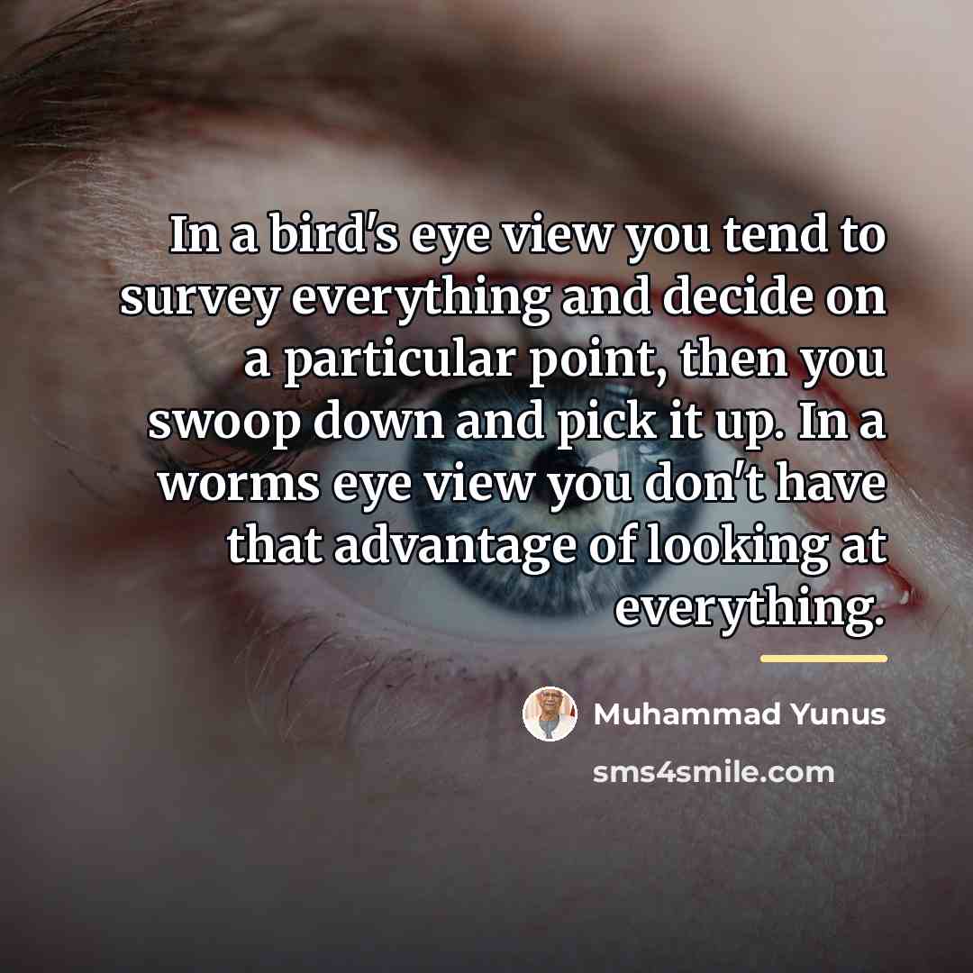 “In a bird's eye view you tend to survey everything…” quote by Muhammad Yunus