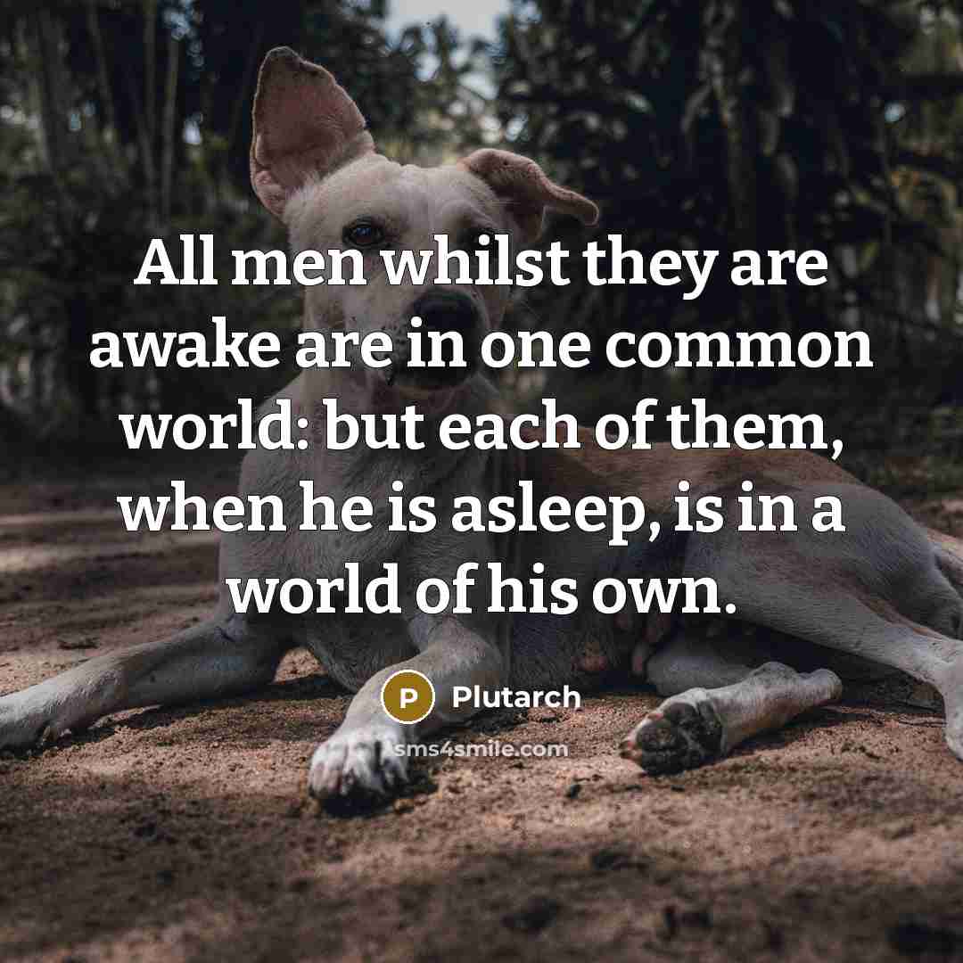 “All men whilst they are awake are in one common…” quote by Plutarch