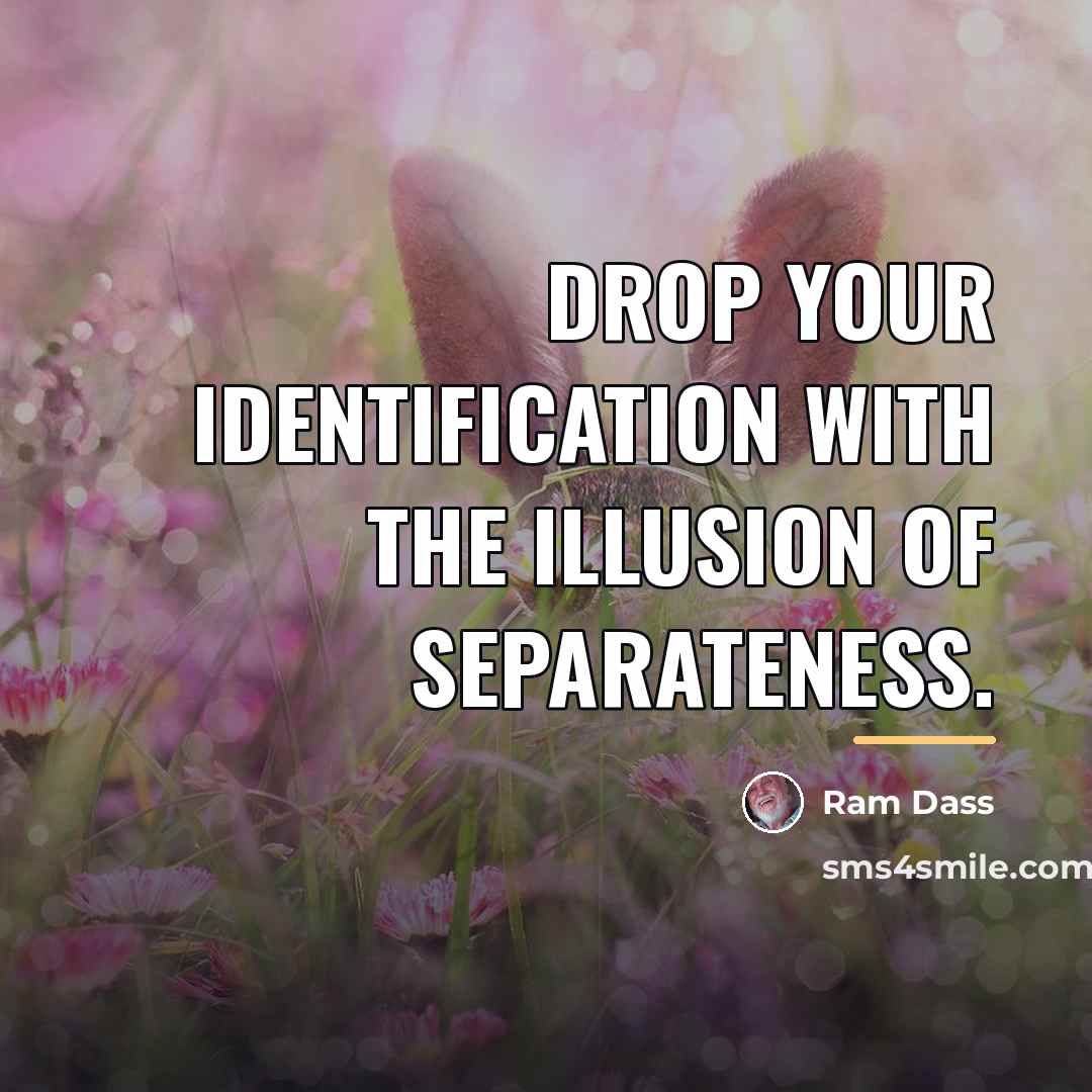 “Drop your identification with the illusion of separateness.…” quote by Ram Dass