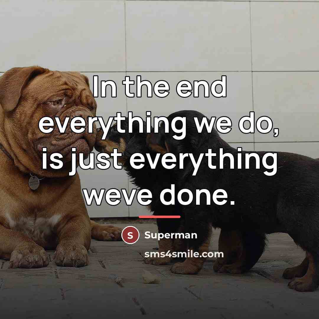 “In the end everything we do, is just everything weve…” quote by Superman