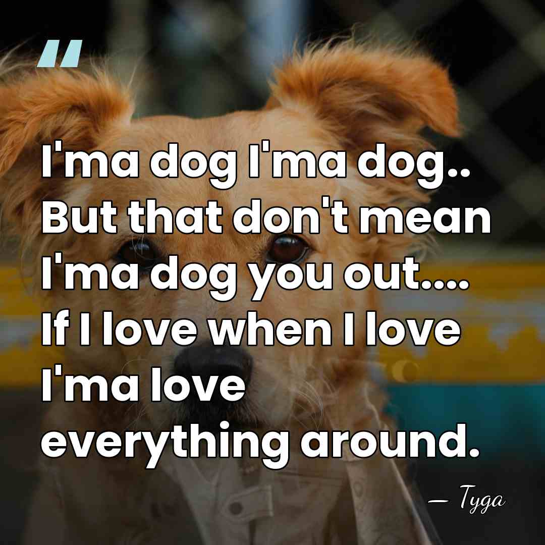 I'ma dog I'ma dog.. But that don't mean I'ma dog you out....&hellip; - Tyga