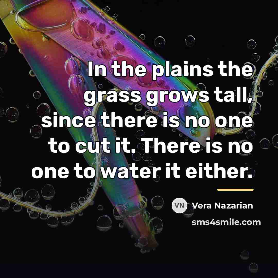 “In the plains the grass grows tall, since there is…” quote by Vera Nazarian