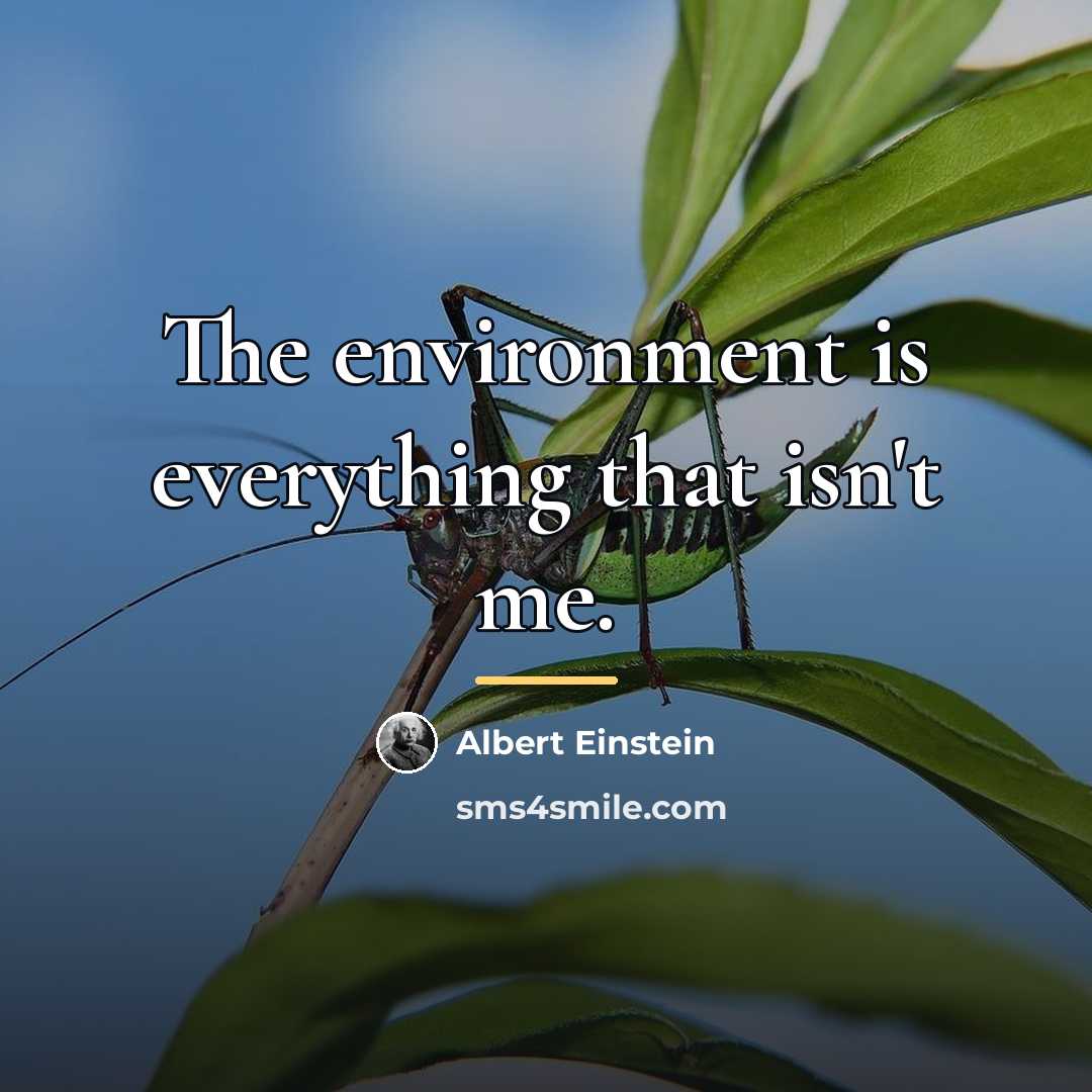 “The environment is everything that isn't me.…” quote by Albert Einstein
