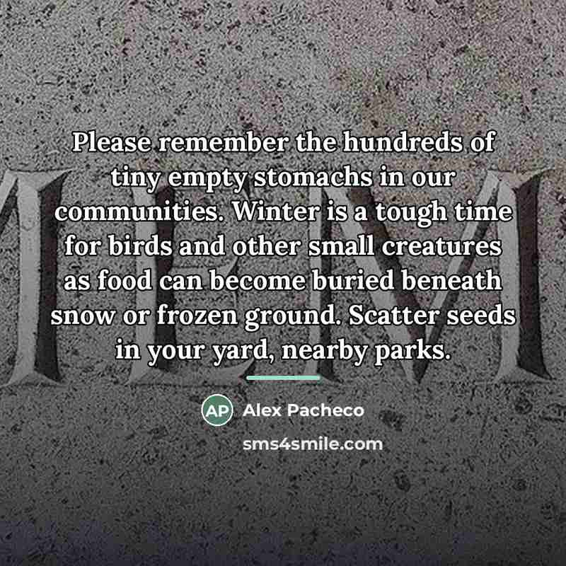 “Please remember the hundreds of tiny empty stomachs in our…” quote by Alex Pacheco