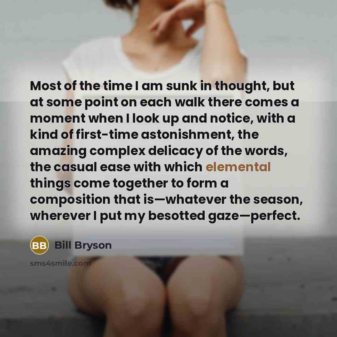 “Most of the time I am sunk in thought, but…” quote by Bill Bryson