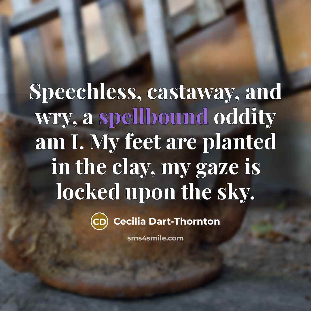 “Speechless, castaway, and wry, a spellbound oddity am I. My…” quote by Cecilia Dart-Thornton
