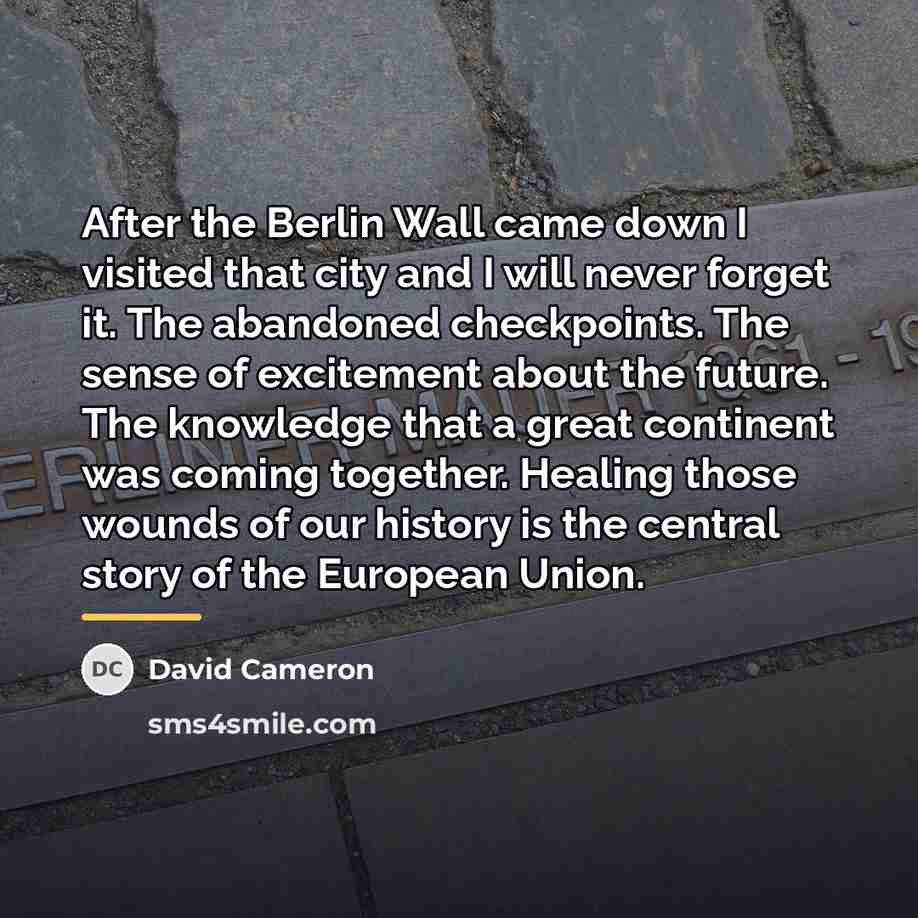 “After the Berlin Wall came down I visited that city…” quote by David Cameron