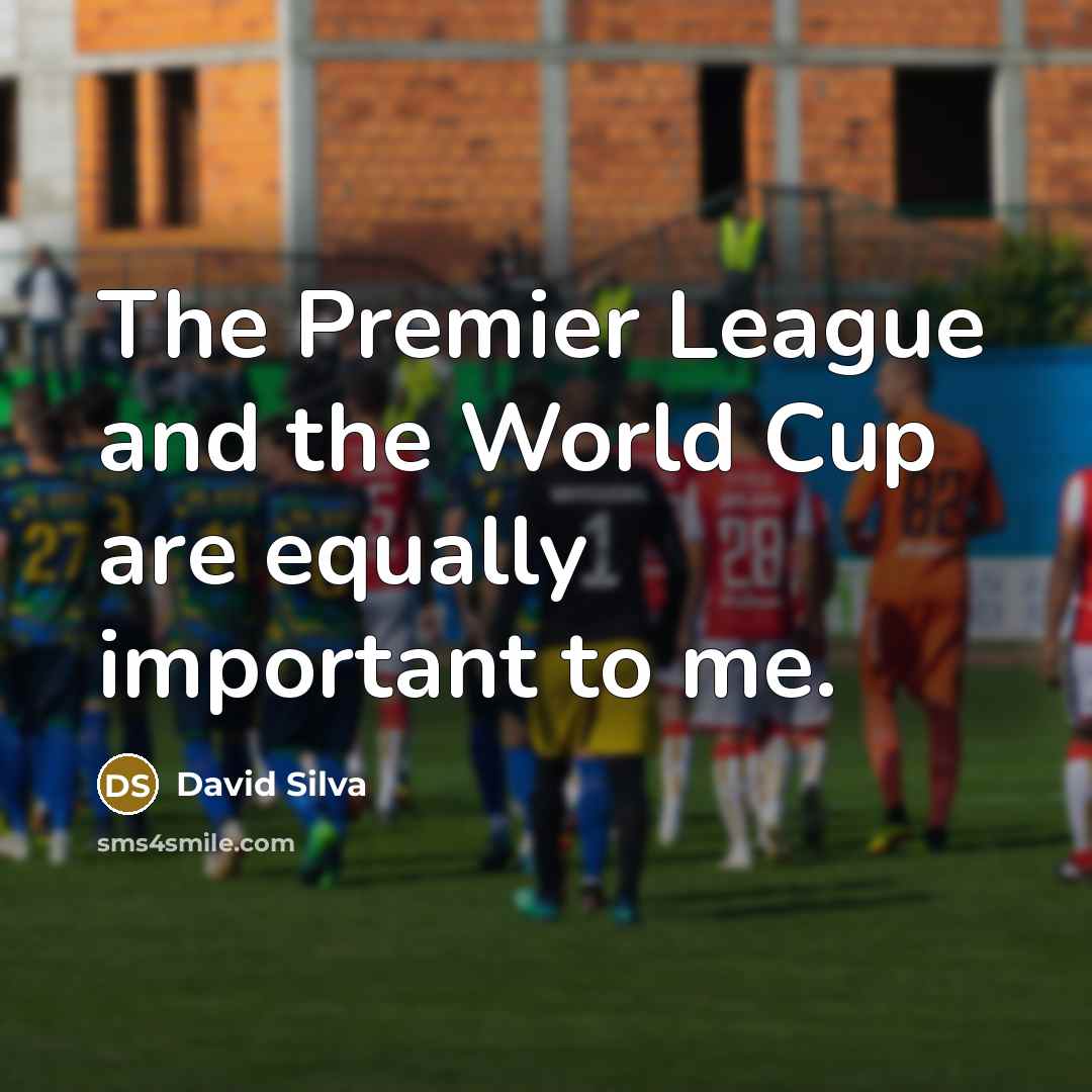 “The Premier League and the World Cup are equally important…” quote by David Silva