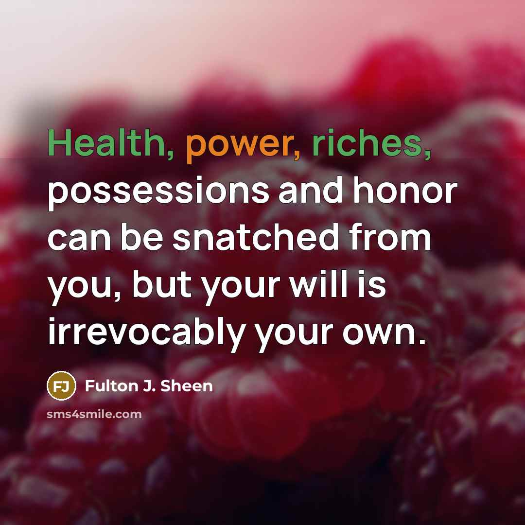 “Health, power, riches, possessions and honor can be snatched from…” quote by Fulton J. Sheen