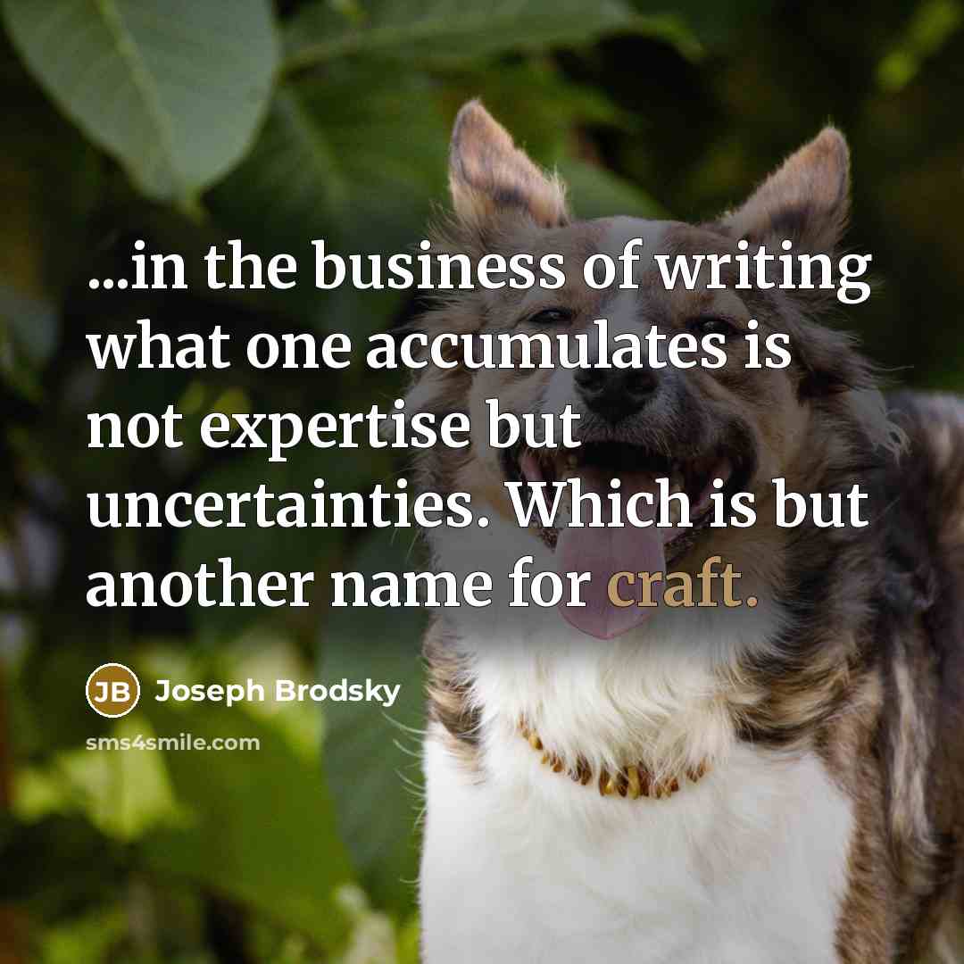 “...in the business of writing what one accumulates is not…” quote by Joseph Brodsky