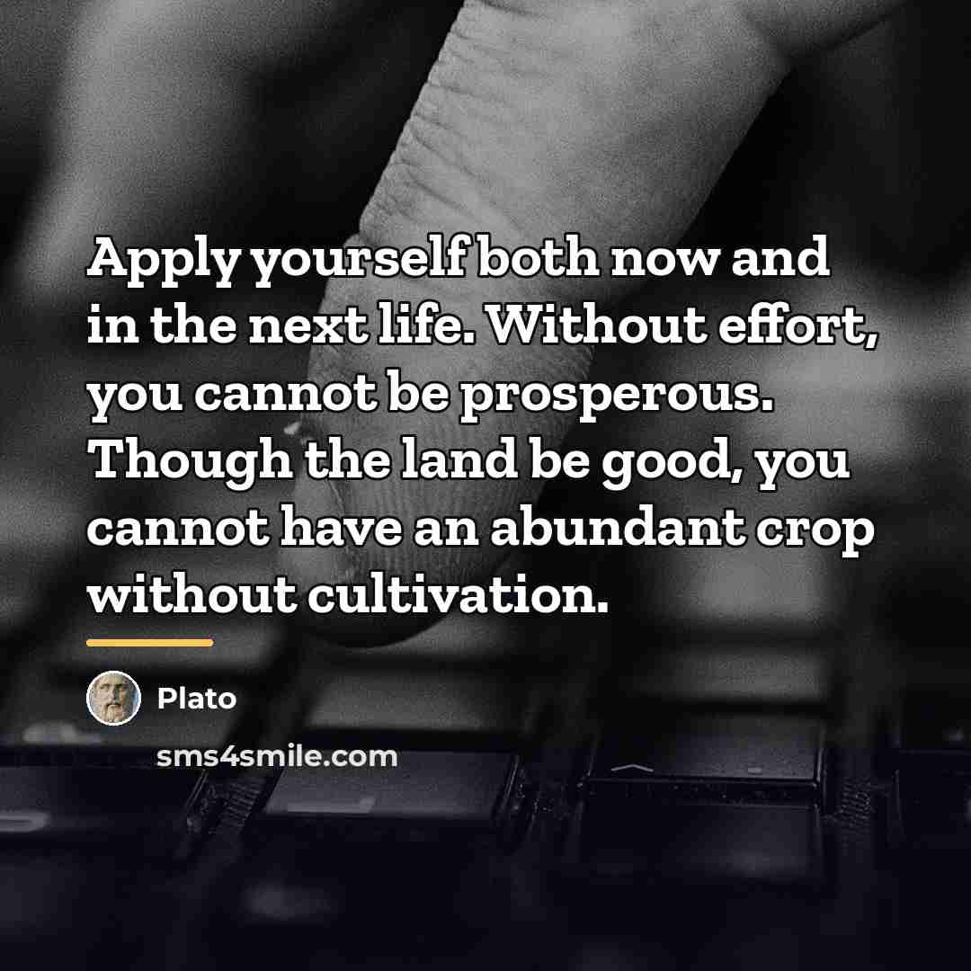 “Apply yourself both now and in the next life. Without…” quote by Plato