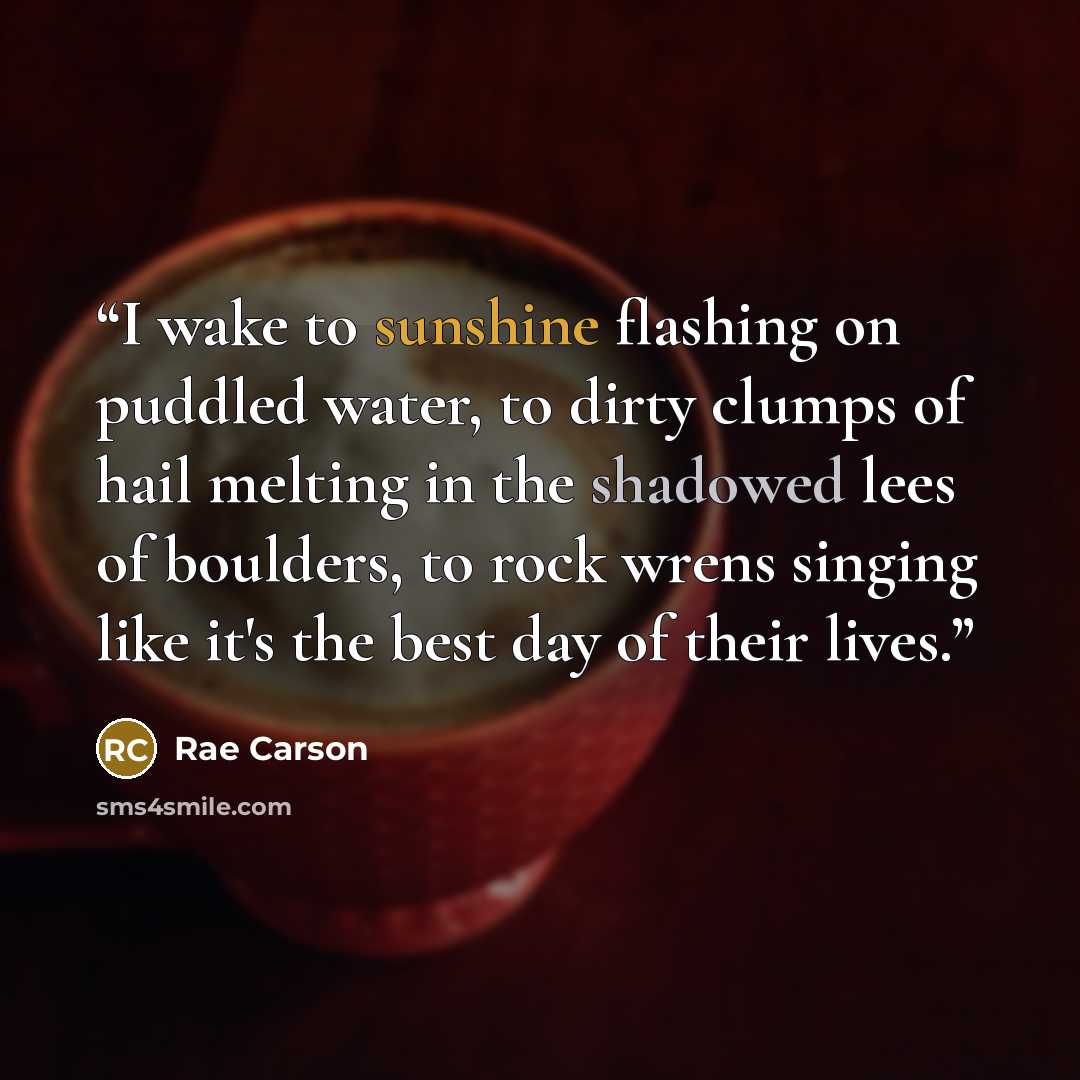 “I wake to sunshine flashing on puddled water, to dirty clumps of hail melting in the shadowed lees of boulders, to rock wrens singing like it's the best day of their lives.” quote by Rae Carson