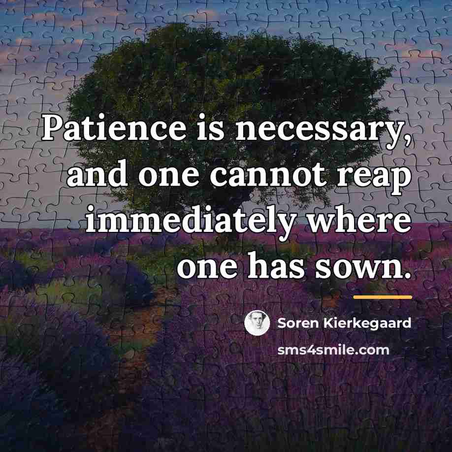 “Patience is necessary, and one cannot reap immediately where one…” quote by Soren Kierkegaard