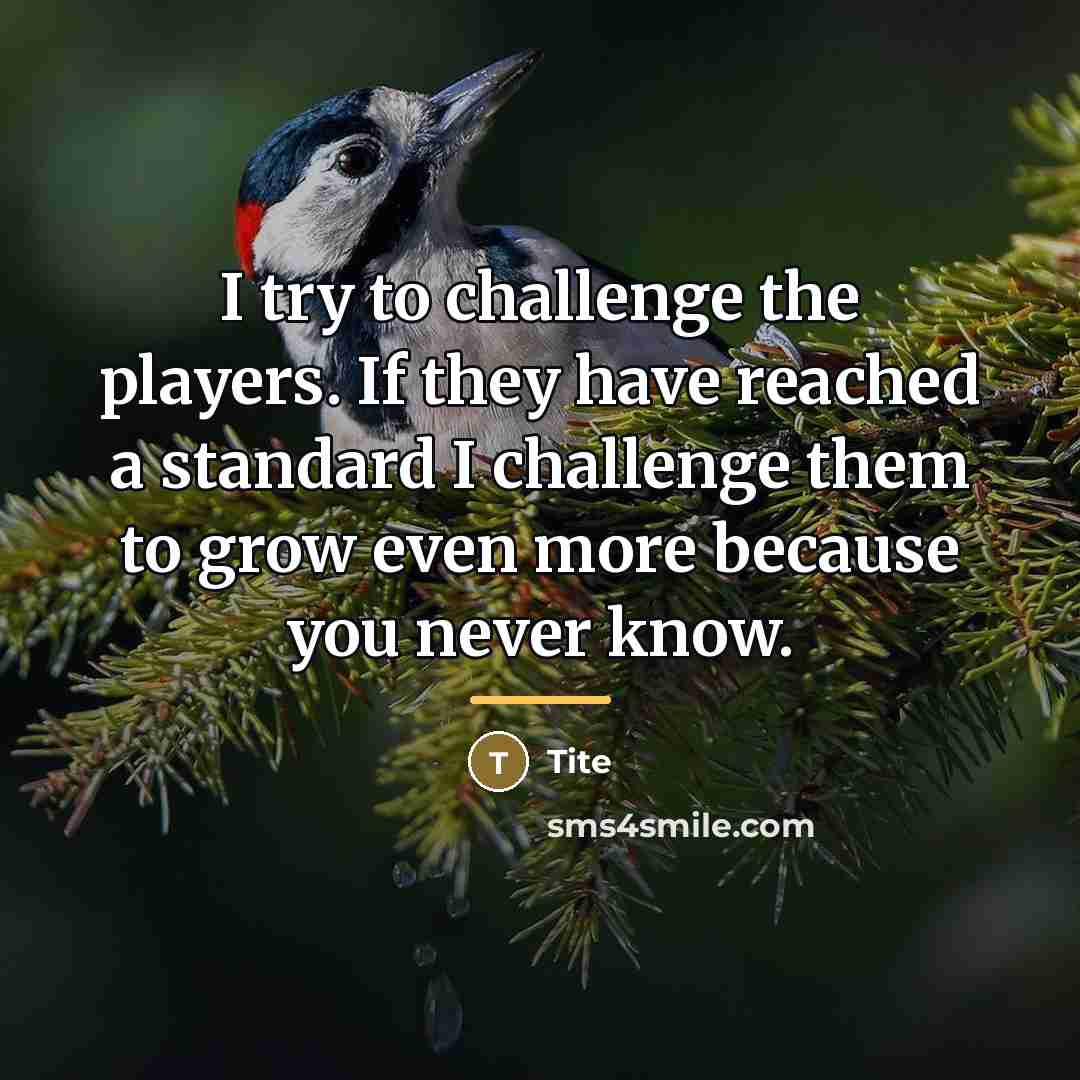 “I try to challenge the players. If they have reached…” quote by Tite