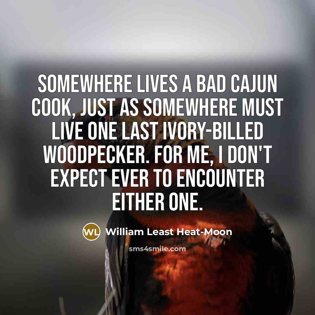 “Somewhere lives a bad Cajun cook, just as somewhere must live one last ivory-billed woodpecker. For me, I don't expect ever to encounter either one.” quote by William Least Heat-Moon