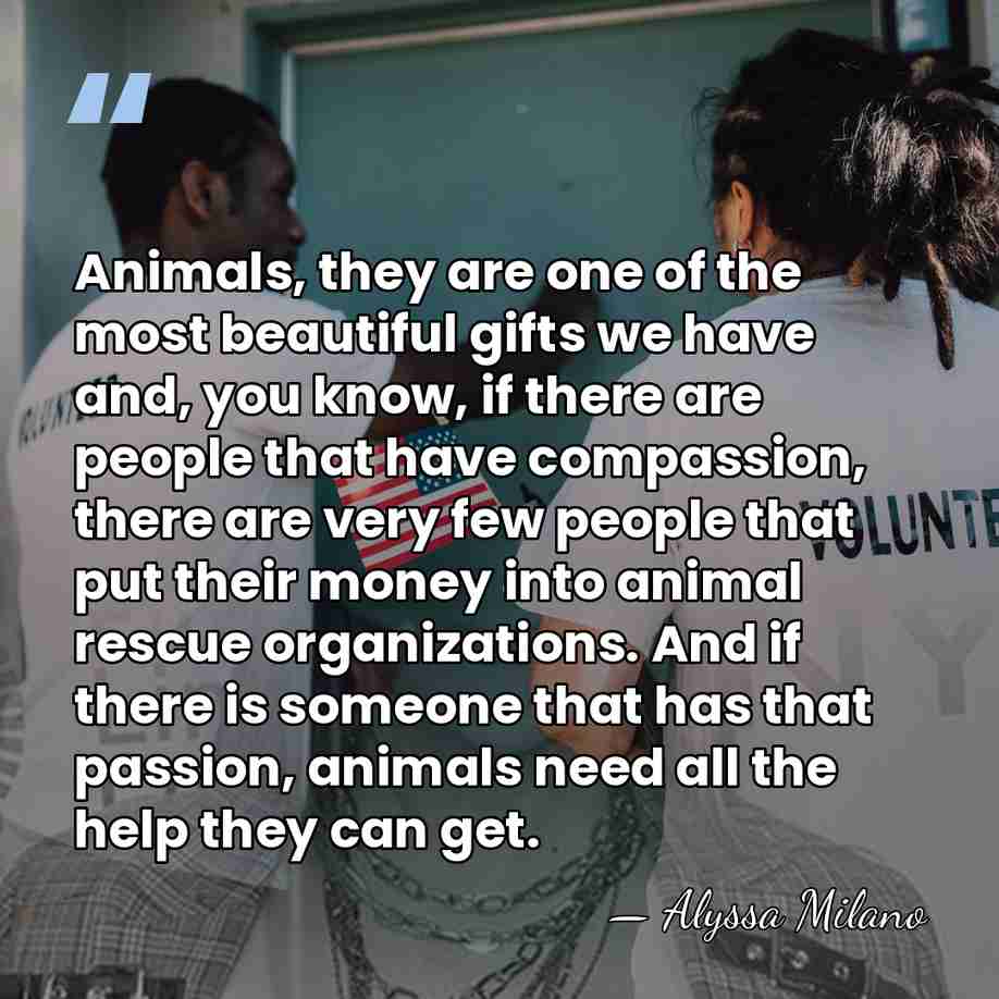 Animals, they are one of the most beautiful gifts we have and,&hellip; - Alyssa Milano