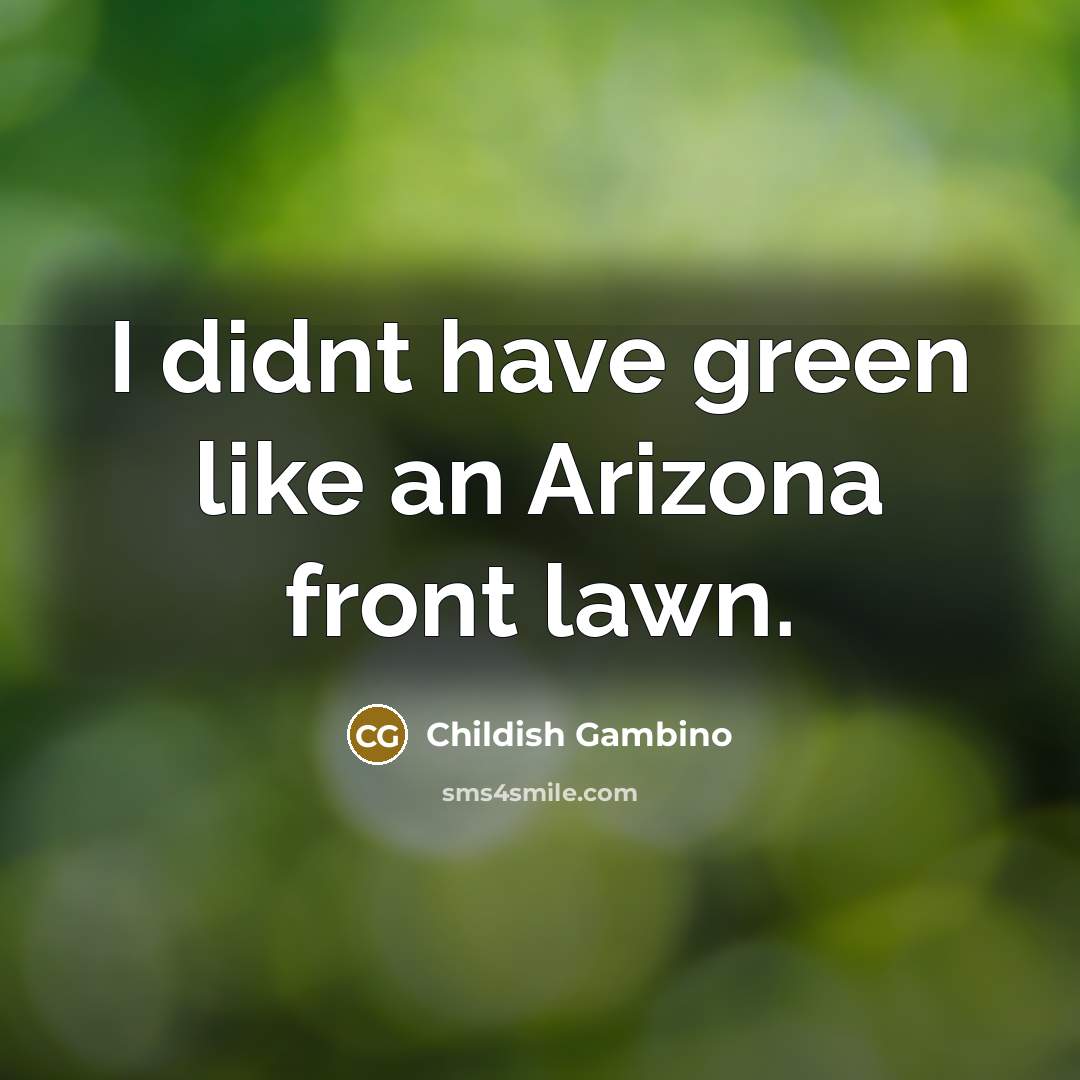 “I didnt have green like an Arizona front lawn.” quote by Childish Gambino