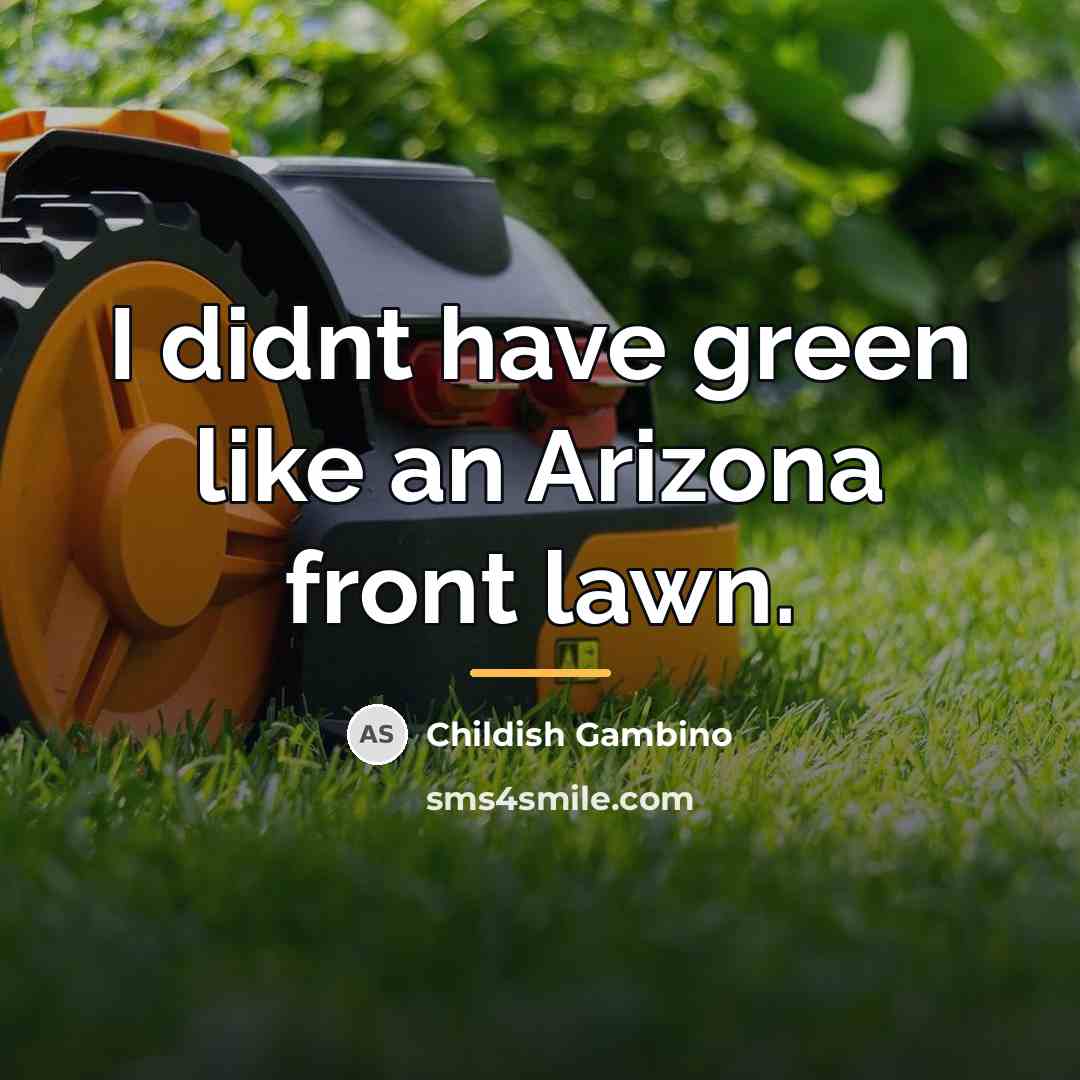 “I didnt have green like an Arizona front lawn.…” quote by Childish Gambino