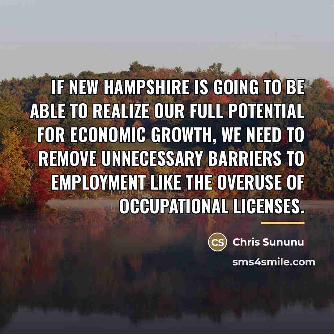 “If New Hampshire is going to be able to realize…” quote by Chris Sununu