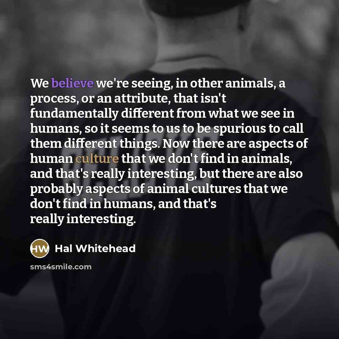 “We believe we're seeing, in other animals, a process, or…” quote by Hal Whitehead