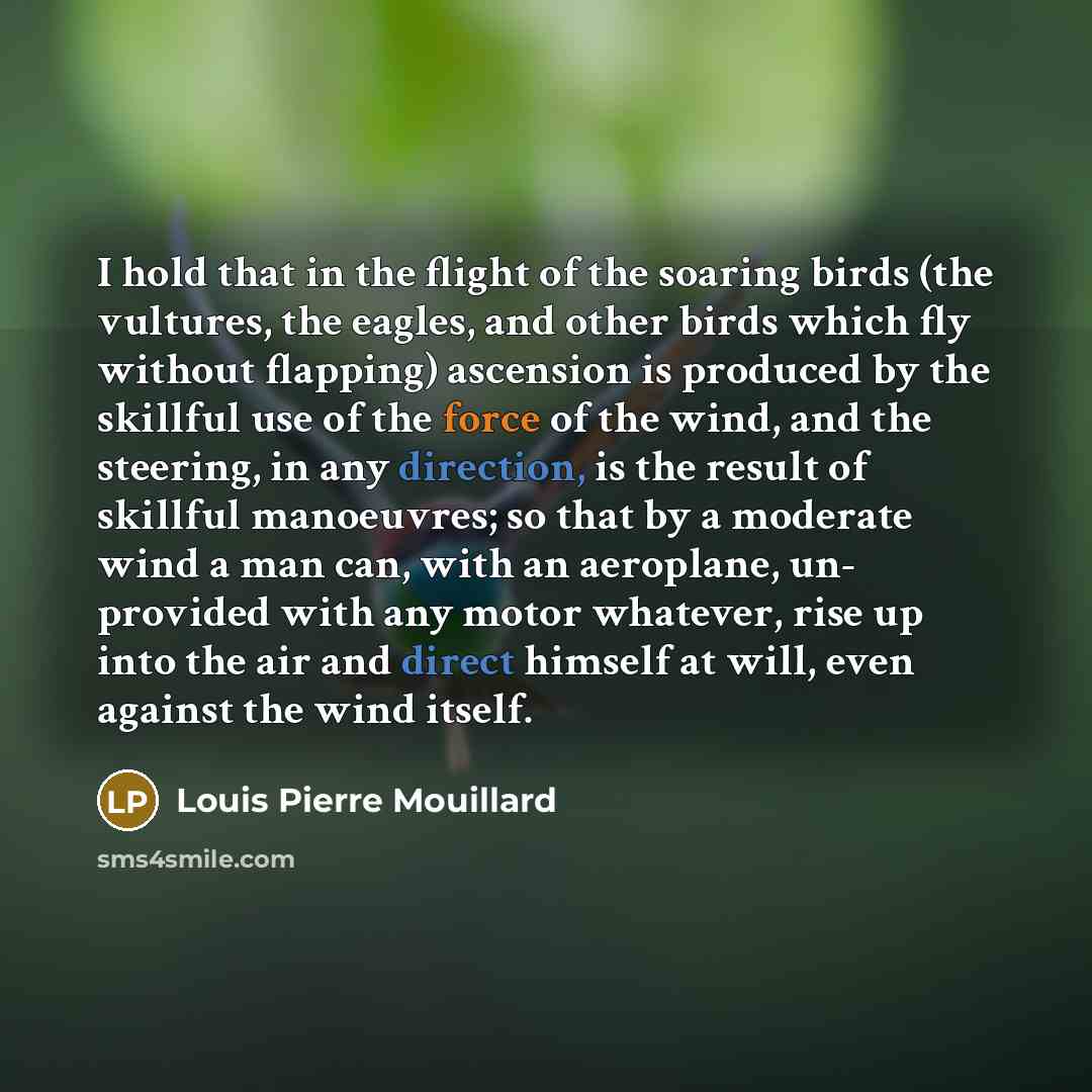 “I hold that in the flight of the soaring birds (the vultures, the eagles, and other birds which fly without flapping) ascension is produced by the skillful use of the force of the wind, and the steering, in any direction, is the result of skillful manoeuvres; so that by a moderate wind a man can…” quote by Louis Pierre Mouillard