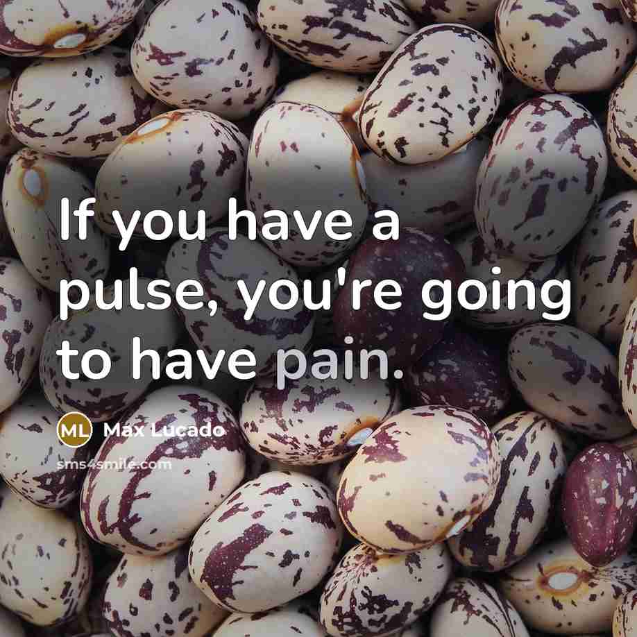 “If you have a pulse, you're going to have pain.…” quote by Max Lucado