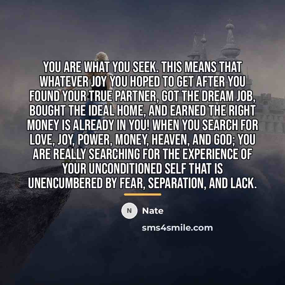 “You are what you seek. This means that whatever joy…” quote by Nate