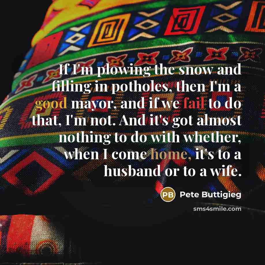 “If I'm plowing the snow and filling in potholes, then…” quote by Pete Buttigieg